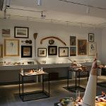 Curated by Bo Bartlett, Bo's Brain is currently installed in the Cheves Archival Gallery