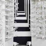 Butch Anthony Bone Art Exhibit at The Bo Bartlett Center