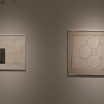 American art from the 20th Century by most of the noted and recognized artists (Warhol, Rosenquist, Johns, Blackburn, Barnet, Gilliam, Picasso and many others)