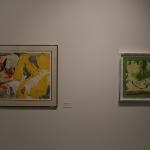 American art from the 20th Century by most of the noted and recognized artists (Warhol, Rosenquist, Johns, Blackburn, Barnet, Gilliam, Picasso and many others)