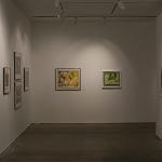 American art from the 20th Century by most of the noted and recognized artists (Warhol, Rosenquist, Johns, Blackburn, Barnet, Gilliam, Picasso and many others)