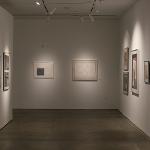 American art from the 20th Century by most of the noted and recognized artists (Warhol, Rosenquist, Johns, Blackburn, Barnet, Gilliam, Picasso and many others)