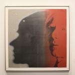 American art from the 20th Century by most of the noted and recognized artists (Warhol, Rosenquist, Johns, Blackburn, Barnet, Gilliam, Picasso and many others)