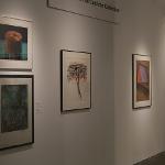 American art from the 20th Century by most of the noted and recognized artists (Warhol, Rosenquist, Johns, Blackburn, Barnet, Gilliam, Picasso and many others)