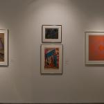 American art from the 20th Century by most of the noted and recognized artists (Warhol, Rosenquist, Johns, Blackburn, Barnet, Gilliam, Picasso and many others)