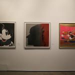 American art from the 20th Century by most of the noted and recognized artists (Warhol, Rosenquist, Johns, Blackburn, Barnet, Gilliam, Picasso and many others)