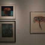 American art from the 20th Century by most of the noted and recognized artists (Warhol, Rosenquist, Johns, Blackburn, Barnet, Gilliam, Picasso and many others)