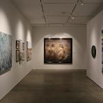 Artwork hanging on gallery walls