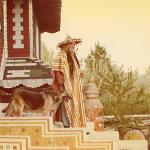 Eddie Owens Martin sitting with his German Shepherds at Pasaquan