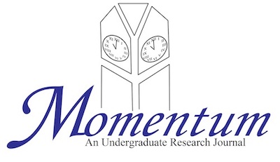 momentum logo with rocketship