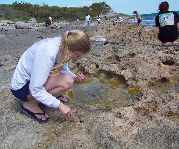 A female student in shorts, long-sleeve tee-shirt, and flipflops examining a puddle on a rocky shore