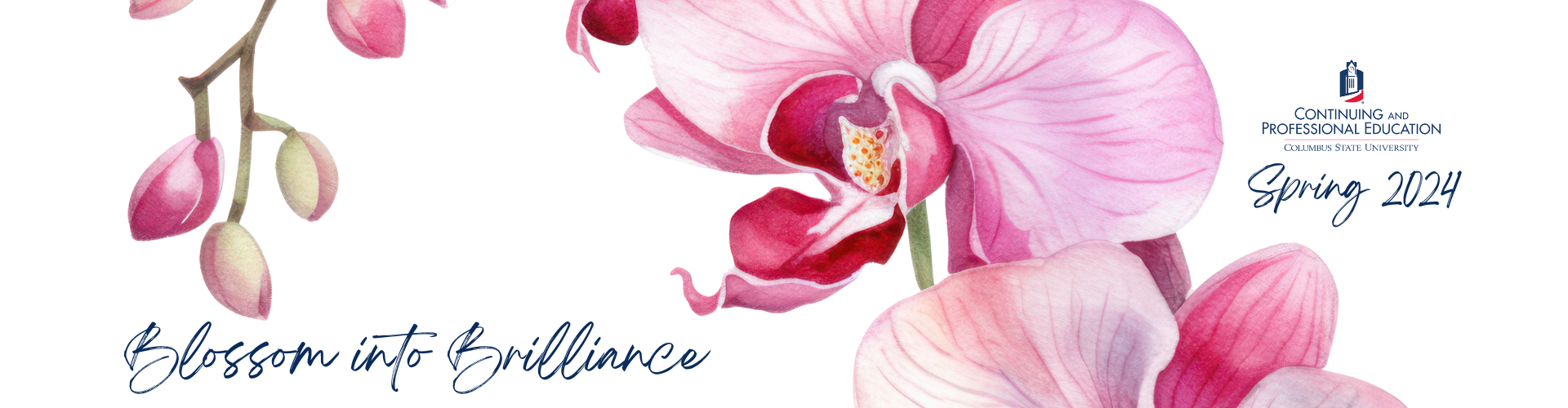 blossom into brilliance