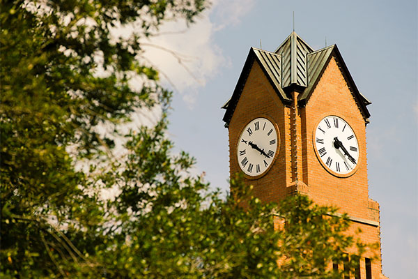 a close-up photo of the clock tower behind a tree