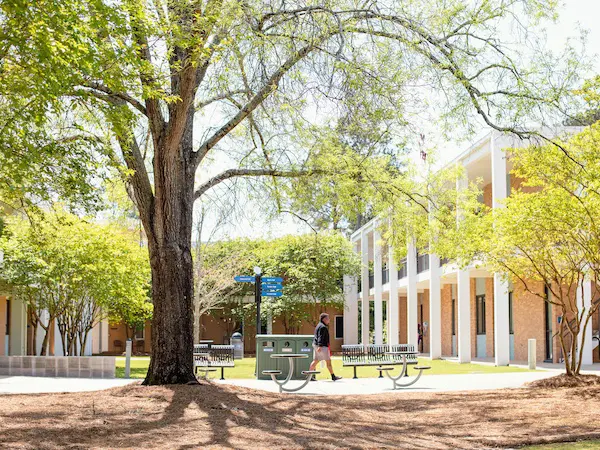 view of trees and buildings on main campus