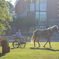 A man on a cart being pulled by a horse next to a college art building
