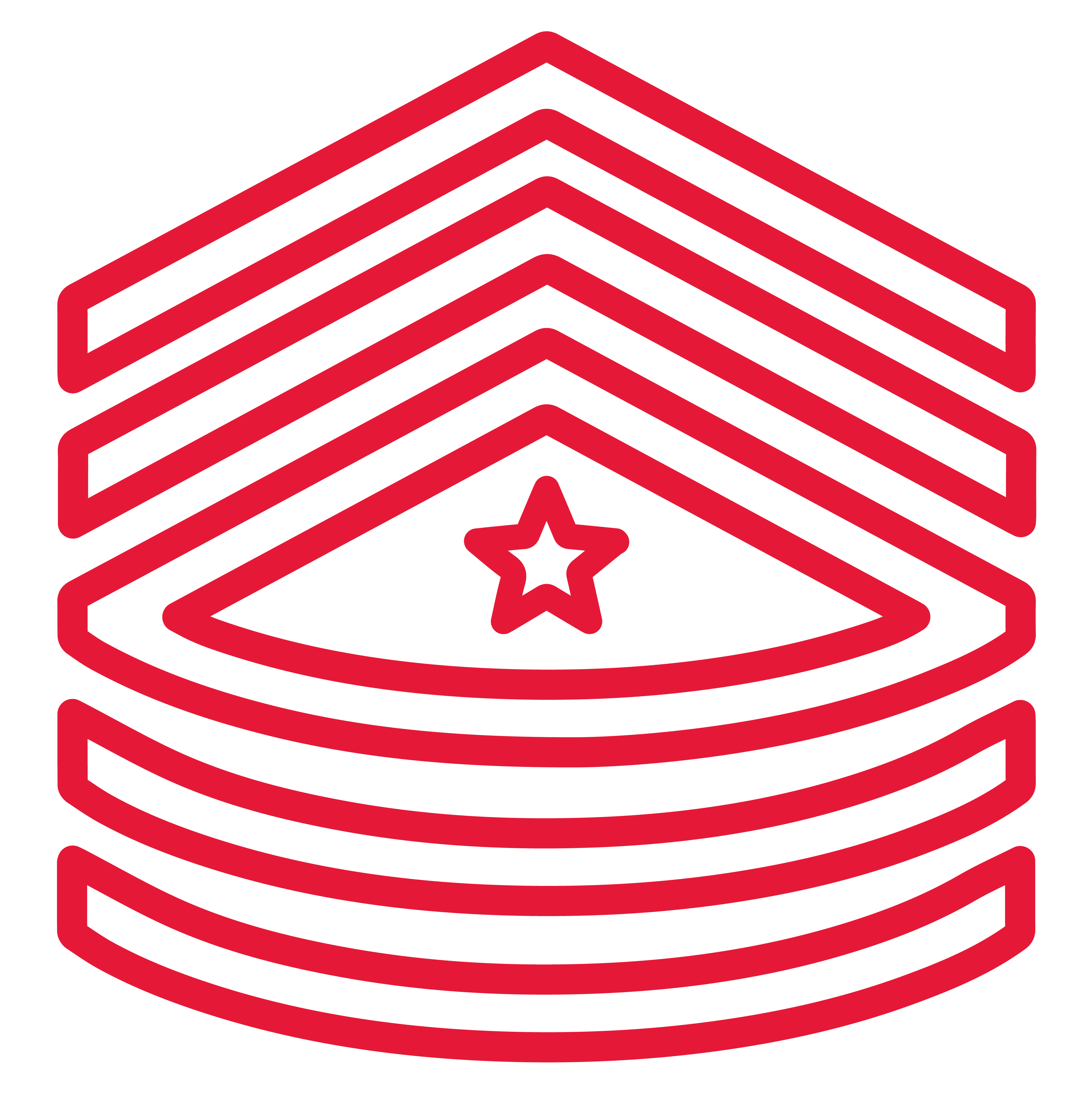 US Army Sergeant Major insignia
