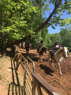 Students riding horses on an outdoor trail
