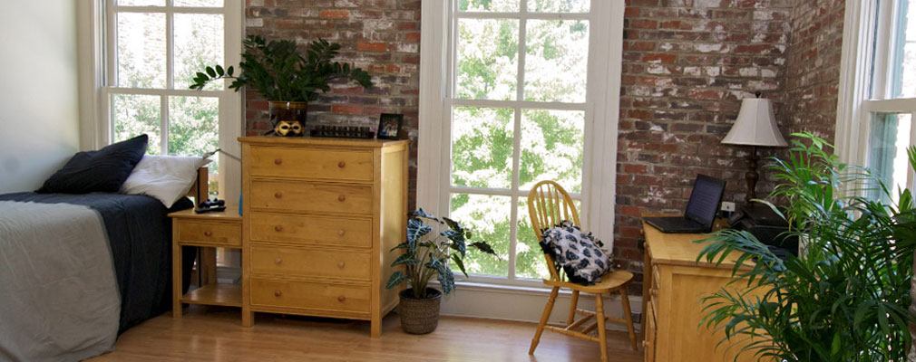 bedroom with a twin XL bed, a desk, a chest of drawers, a nightstand, and several faux plants