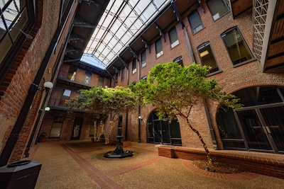 trees in front of brick three-story building