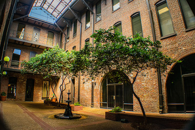 trees in front of brick three-story building
