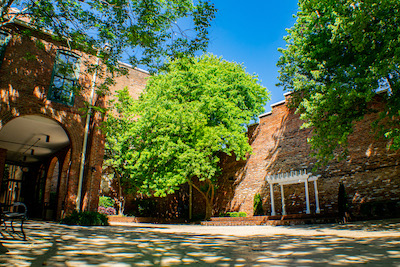 courtyard with green trees, blue sky